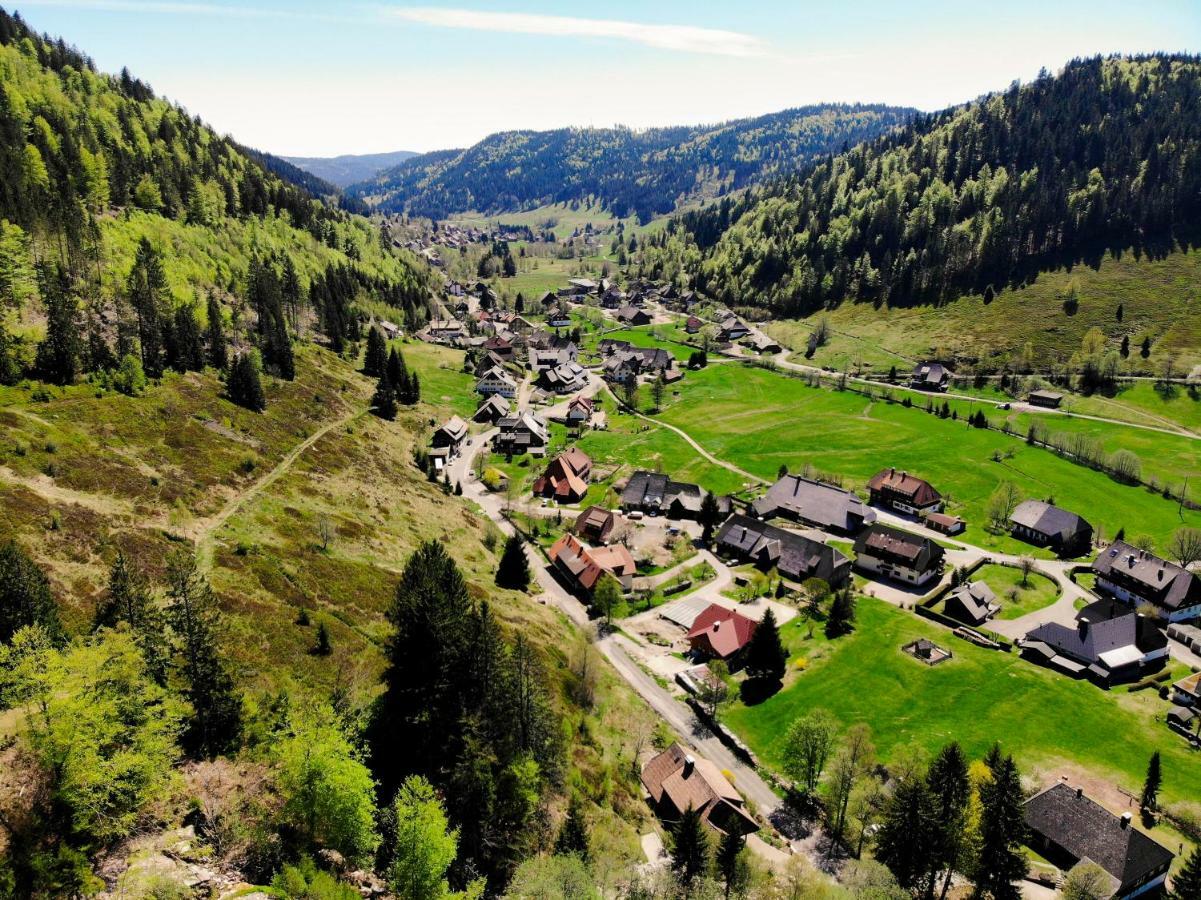 Gaestehaus Erika Menzenschwand-Hinterdorf Buitenkant foto